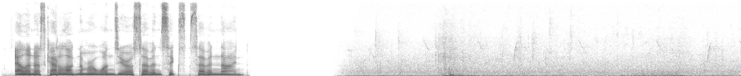 bånddue (fasciata gr.) - ML107679