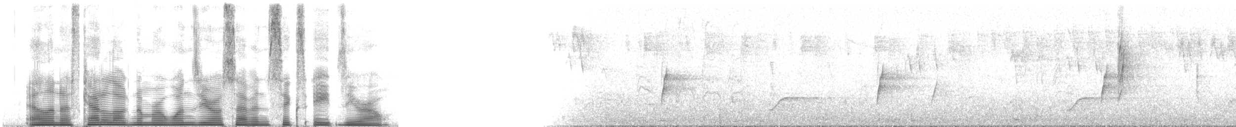 bånddue (fasciata gr.) - ML107680