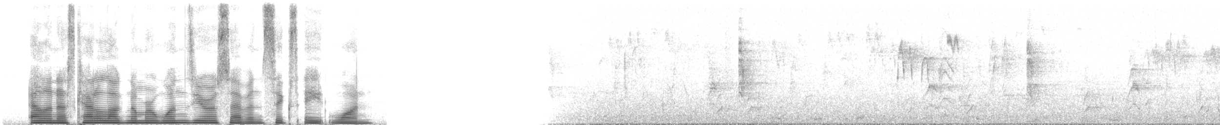 bånddue (fasciata gr.) - ML107681