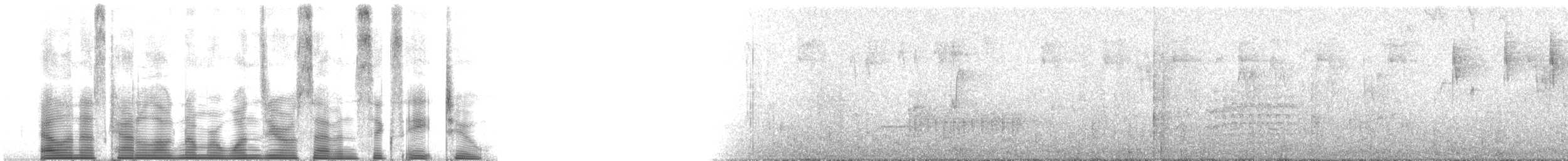 bånddue (fasciata gr.) - ML107682