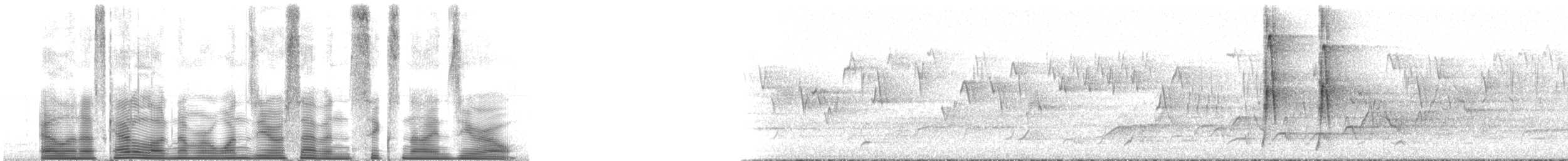 Townsend's Chipmunk - ML107690