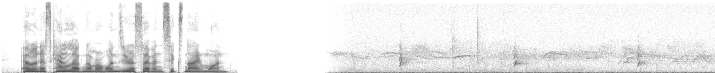 drozd západní - ML107691