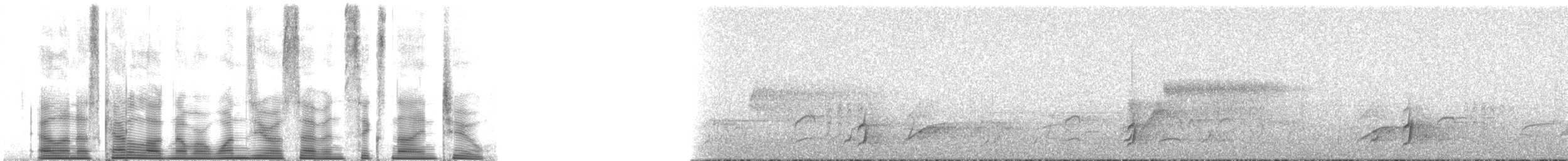 drozd západní - ML107692