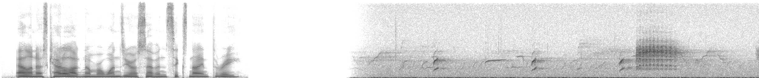 drozd západní - ML107693