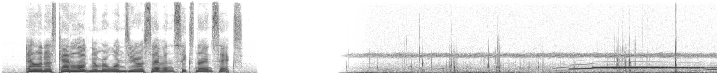 Common Loon - ML107696