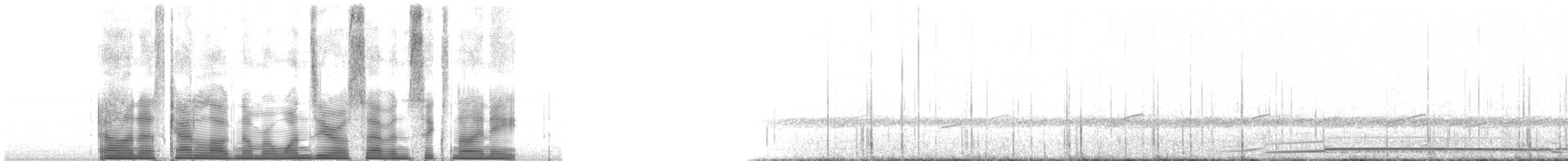 Common Loon - ML107698