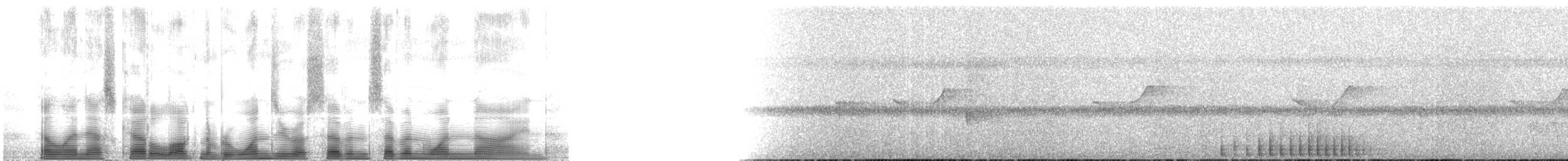 Golden-crowned Woodpecker - ML107719