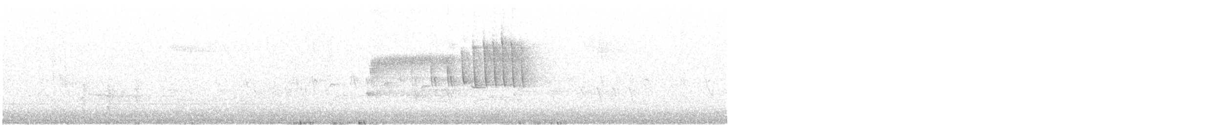 Paruline à calotte noire - ML107721611