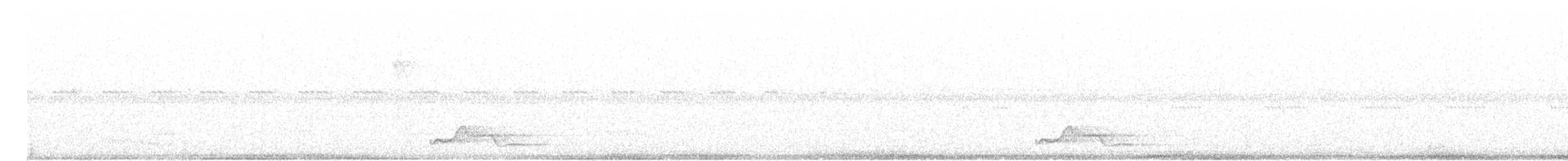 Pauraquenachtschwalbe - ML107727431