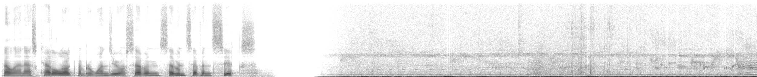 Calao à joues grises - ML107776