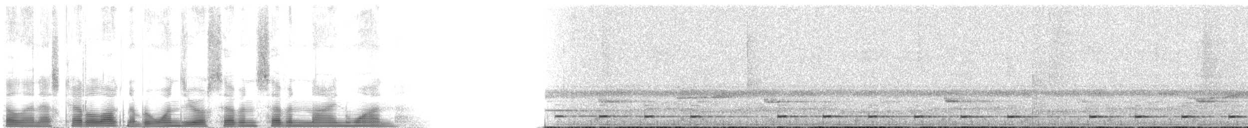 Goldbürzel-Bartvogel - ML107791