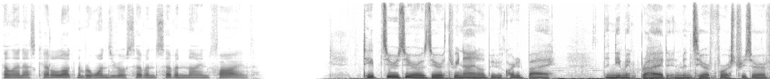 Calao à joues grises - ML107795