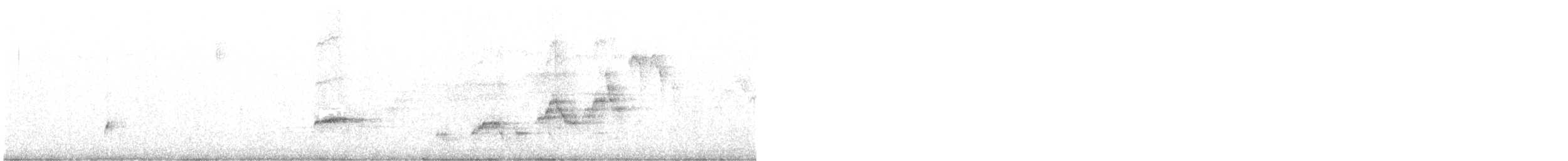 Swainson's Thrush - ML107795251