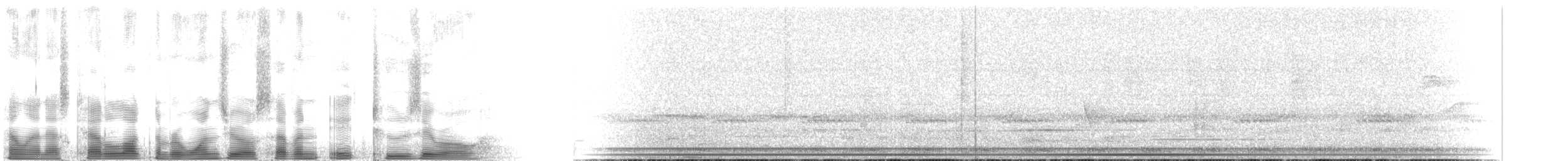 Малая жемчужная курочка (centralis) - ML107820