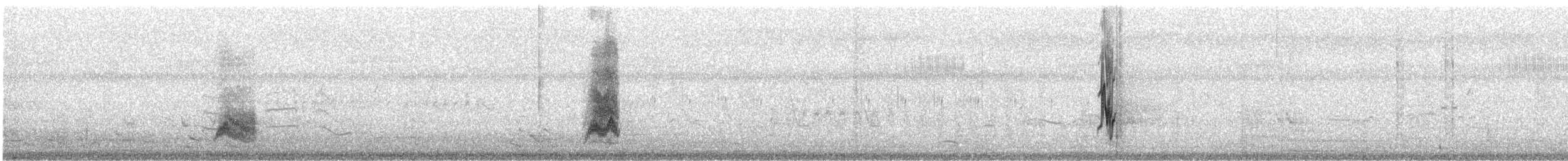 Jungle Myna - ML107855021