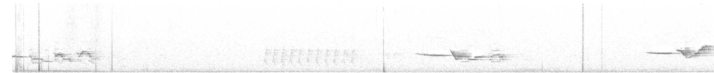 Дрізд-короткодзьоб плямистоволий [група auduboni] - ML107869661
