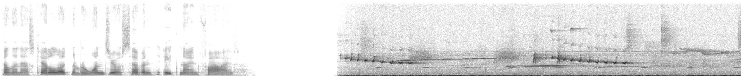 Bocagewürger - ML107895