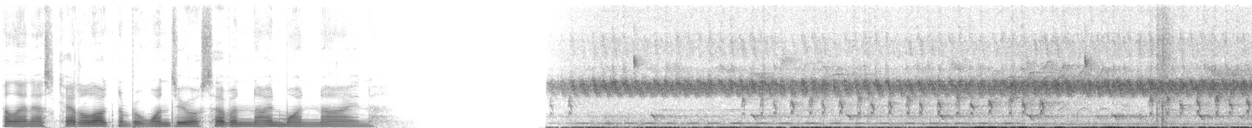 Stripe-cheeked Greenbul (Stripe-faced) - ML107919