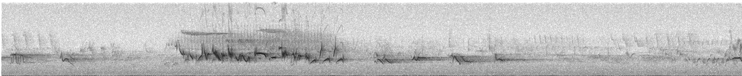 Cassin's Finch - ML107932661