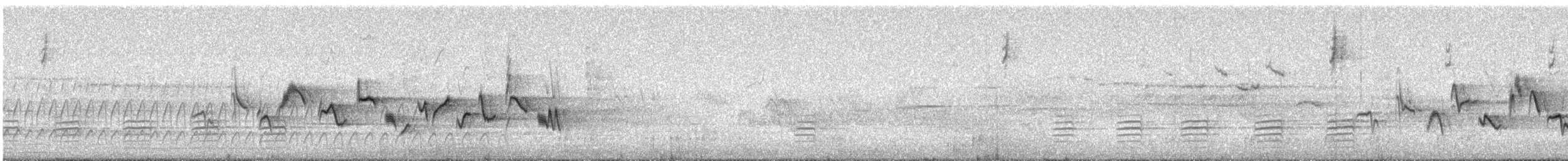 Western Warbling Vireo - ML107933371