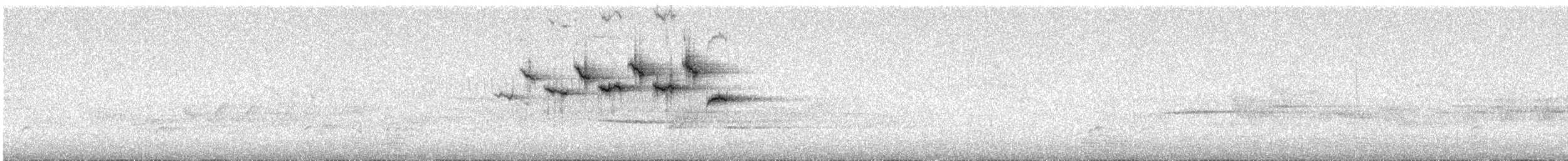 Hermit Warbler - ML107933741