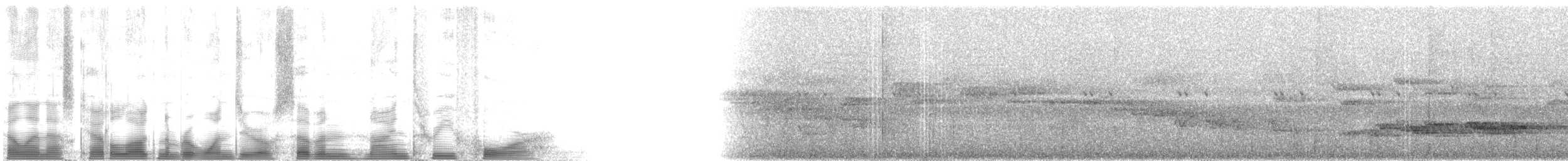 Dapple-throat - ML107934