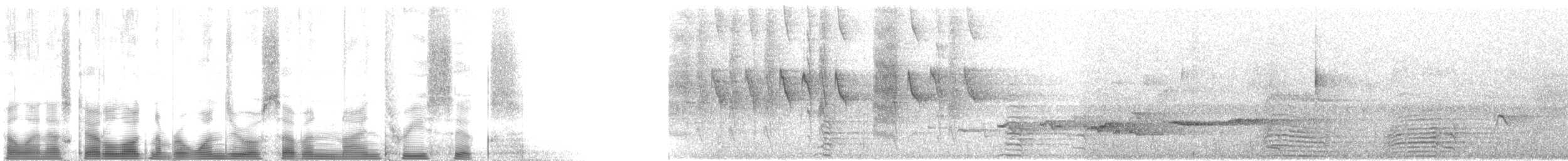 Eastern Bronze-naped Pigeon - ML107936