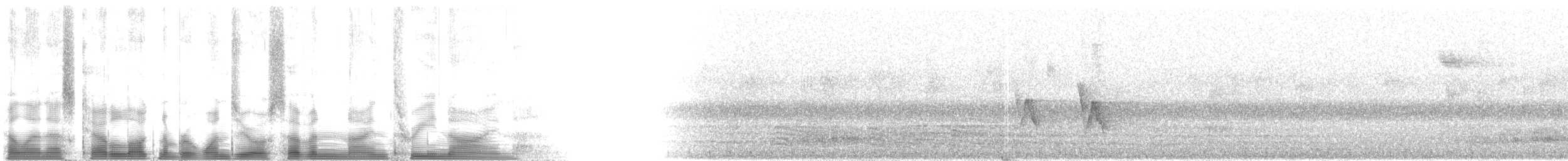 Evergreen-forest Warbler - ML107939