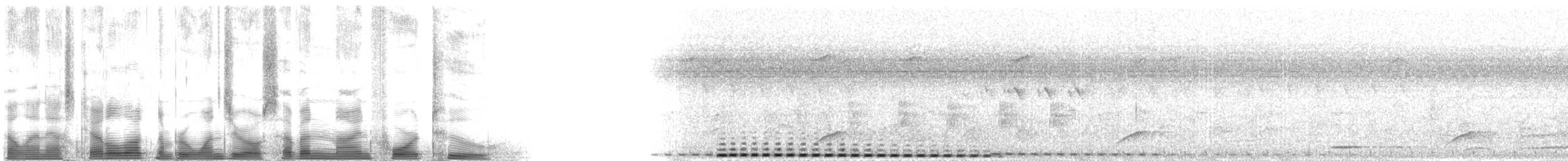 White-browed Coucal - ML107942