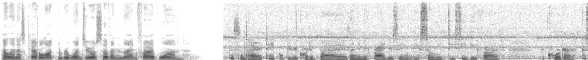 Northern Brownbul - ML107951