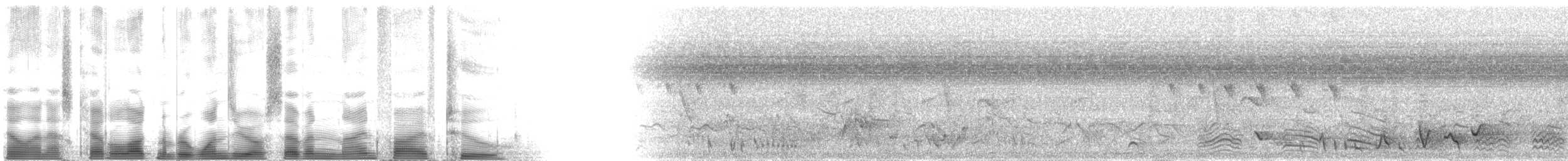 Eastern Nicator - ML107952