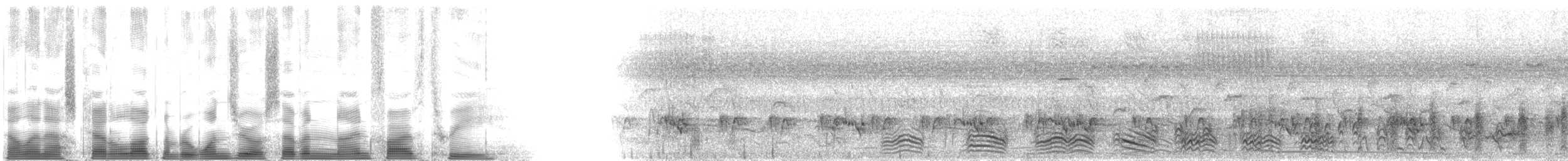 Yellow-bellied Greenbul - ML107953