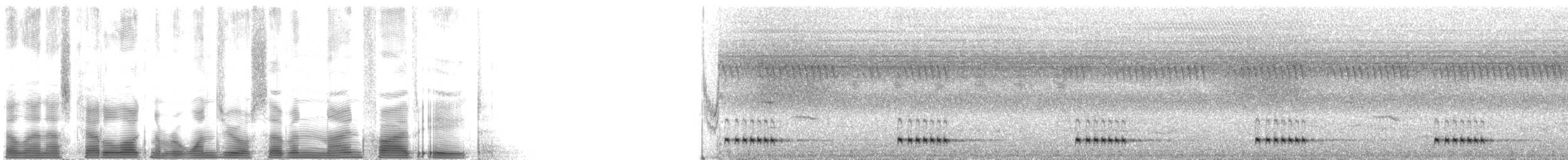 Northern Red-fronted Tinkerbird - ML107958