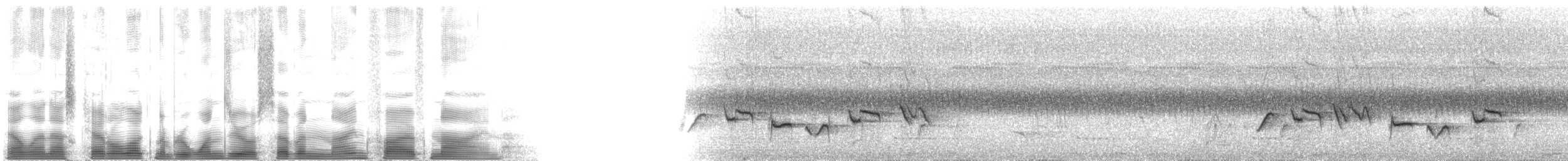 White-browed Scrub-Robin - ML107959