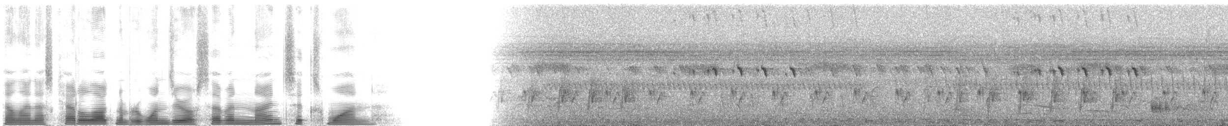 Terrestrial Brownbul - ML107961