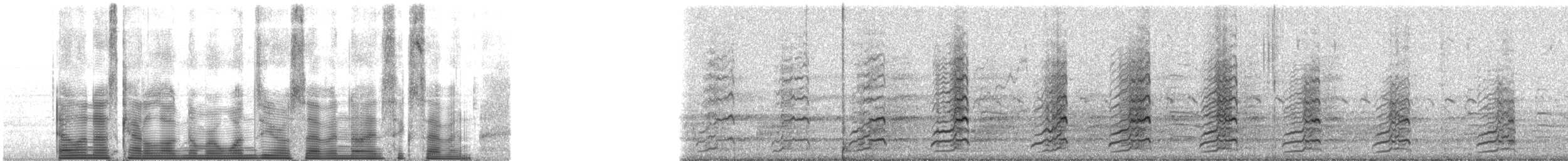 Wood Duck - ML107967