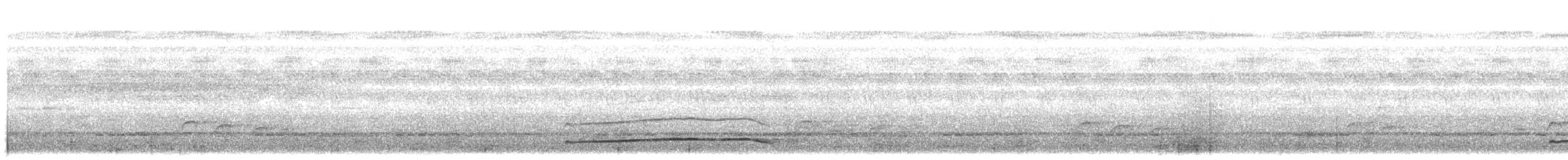 Rufous-tailed Flatbill - ML107967101