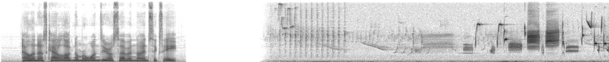 Song Sparrow - ML107968