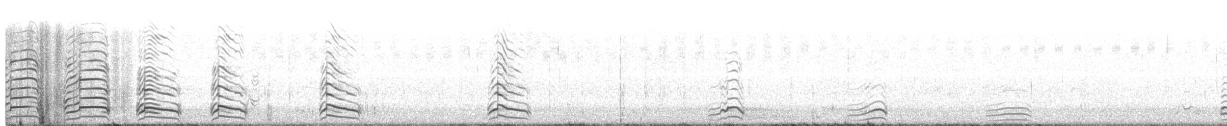 Laughing Gull - ML107973141