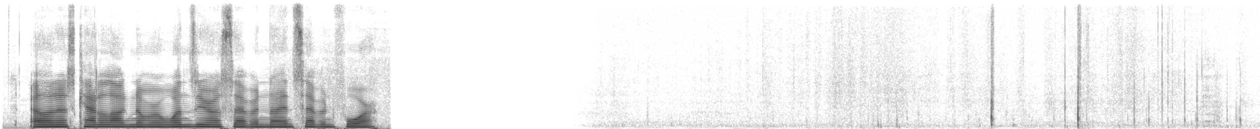 American Red Squirrel - ML107974