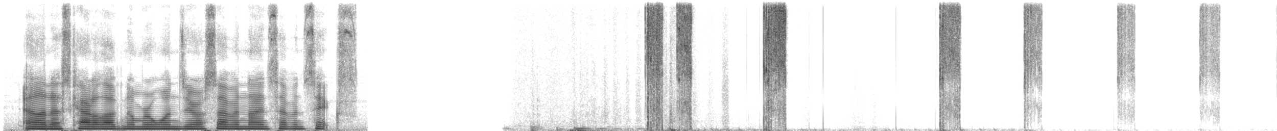 Little Brown Bat - ML107976