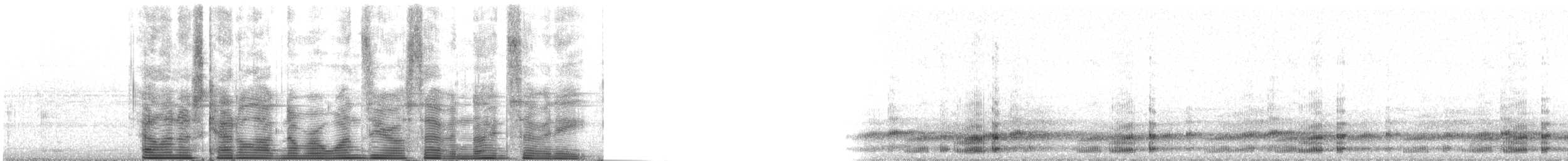 Pacific chorus frog - ML107978