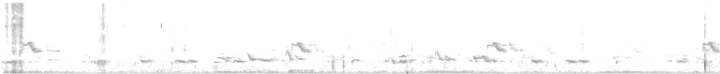 Дрізд-короткодзьоб канадський - ML107997951