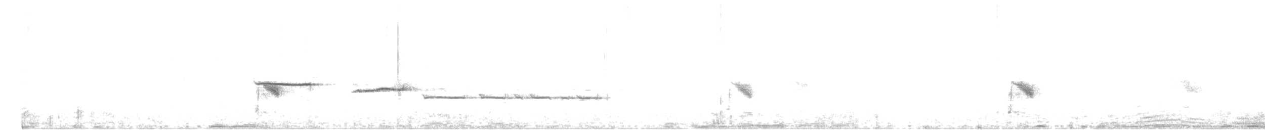 Дрізд-короткодзьоб канадський - ML107998091