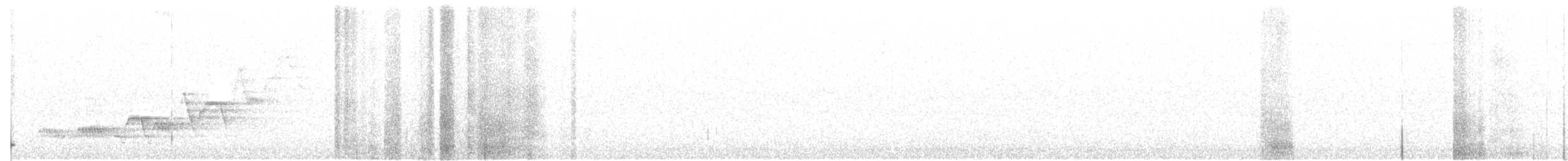 Swainson's Thrush - ML108036211
