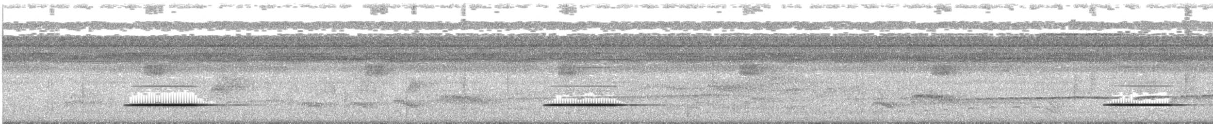 Cinereous Tinamou - ML108063311