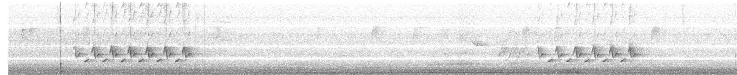 Carolina Wren - ML108100741