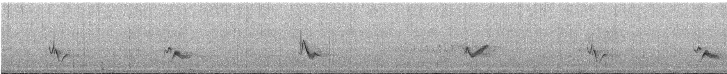 Cassin's/Plumbeous Vireo - ML108238451