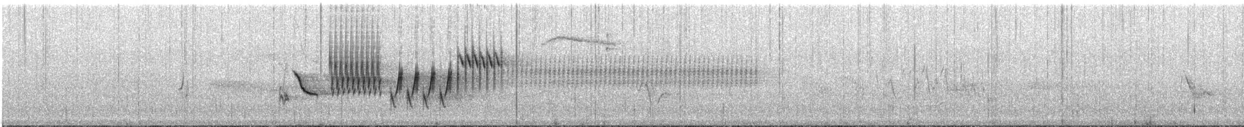 Green-tailed Towhee - ML108238481