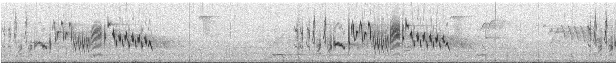 Northern House Wren - ML108238511